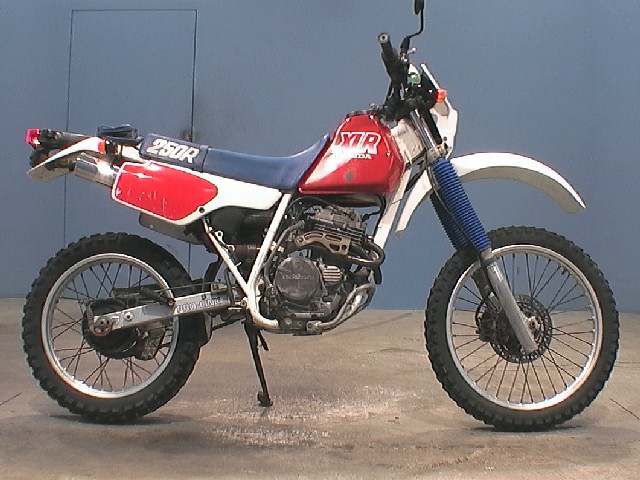 Honda Xlr