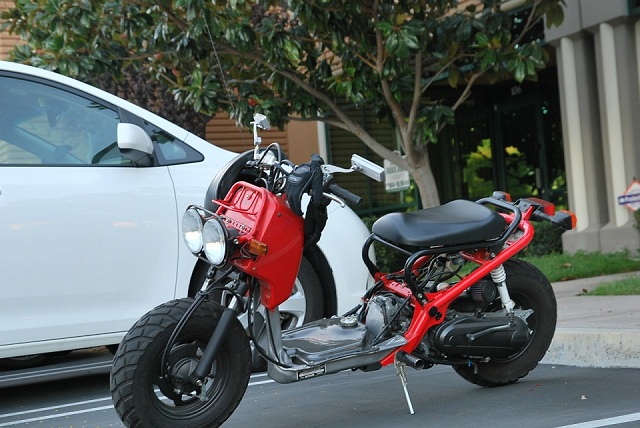 Honda Ruckus 2003