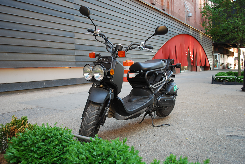 Honda Ruckus 2009