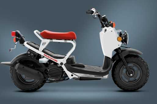 Honda Ruckus 2011