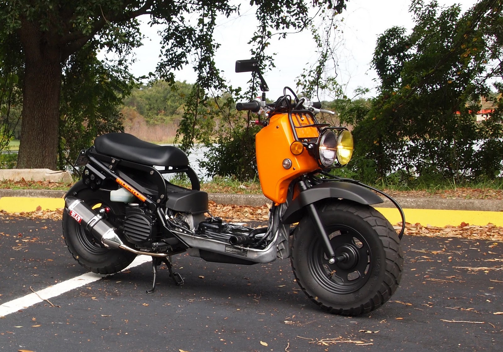 Honda Ruckus 2011