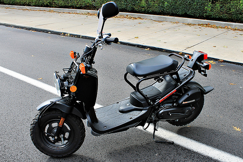 Honda Ruckus 2012 Honda Ruckus 2012