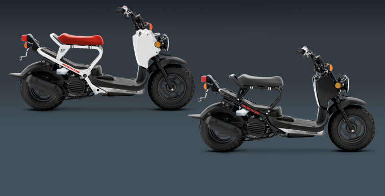 Honda Ruckus 2013