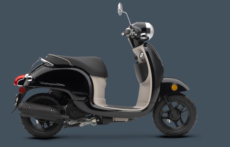 Honda Ruckus 2013