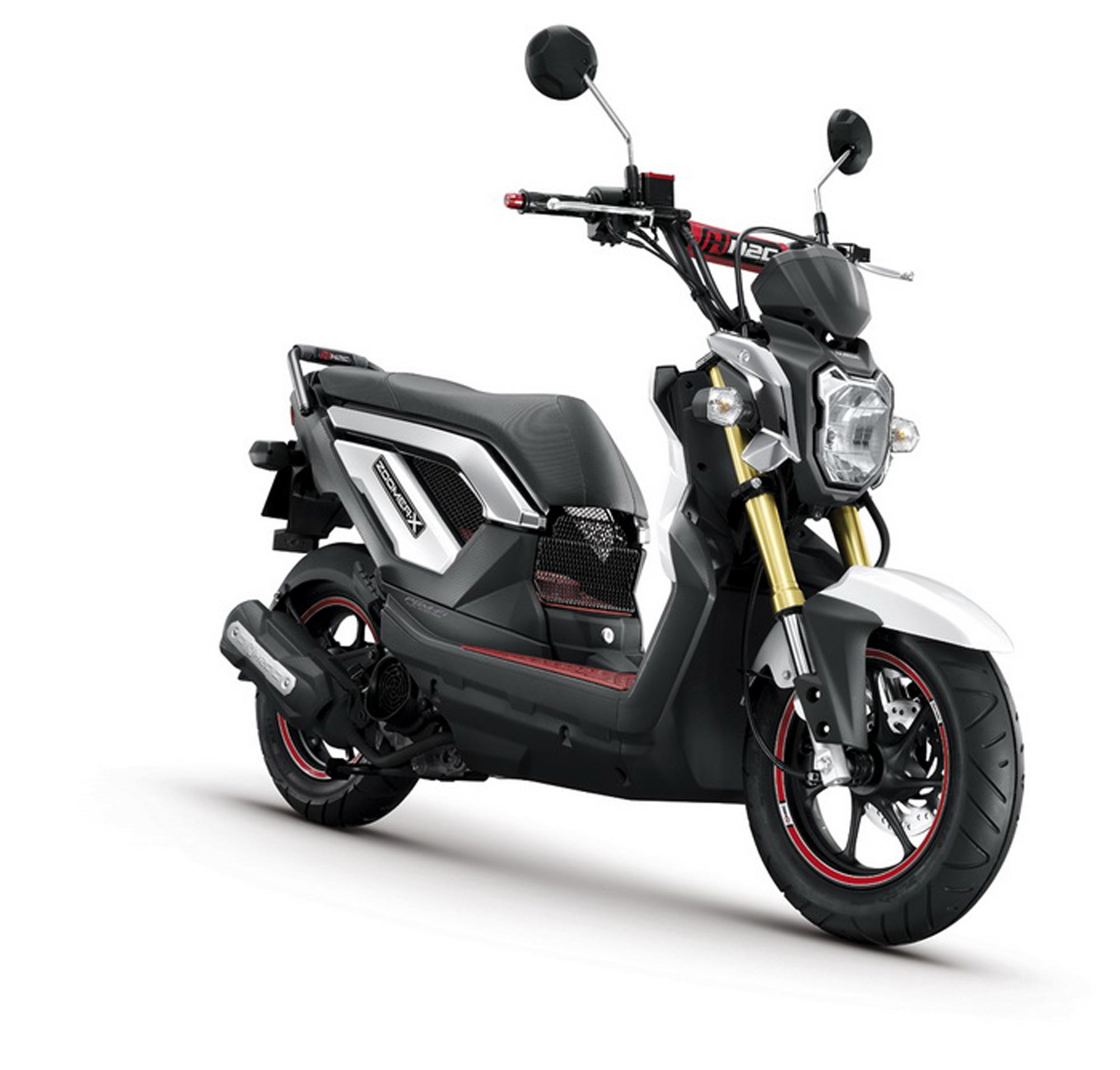 Honda Ruckus 2013
