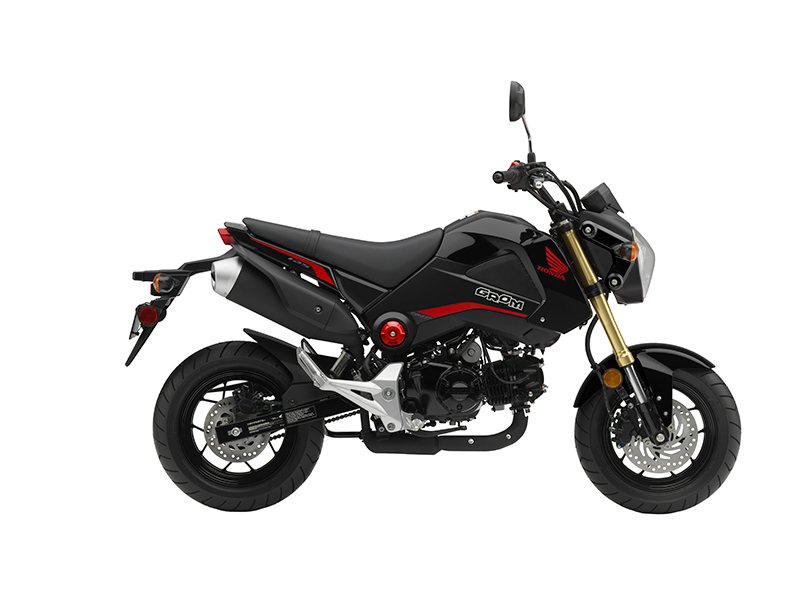 Honda Ruckus 2016