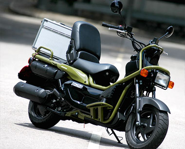 Honda Ruckus 250