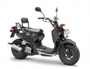 Honda Ruckus 50cc Scooter Honda Ruckus 50cc Scooter