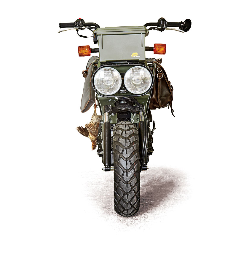 Honda Ruckus