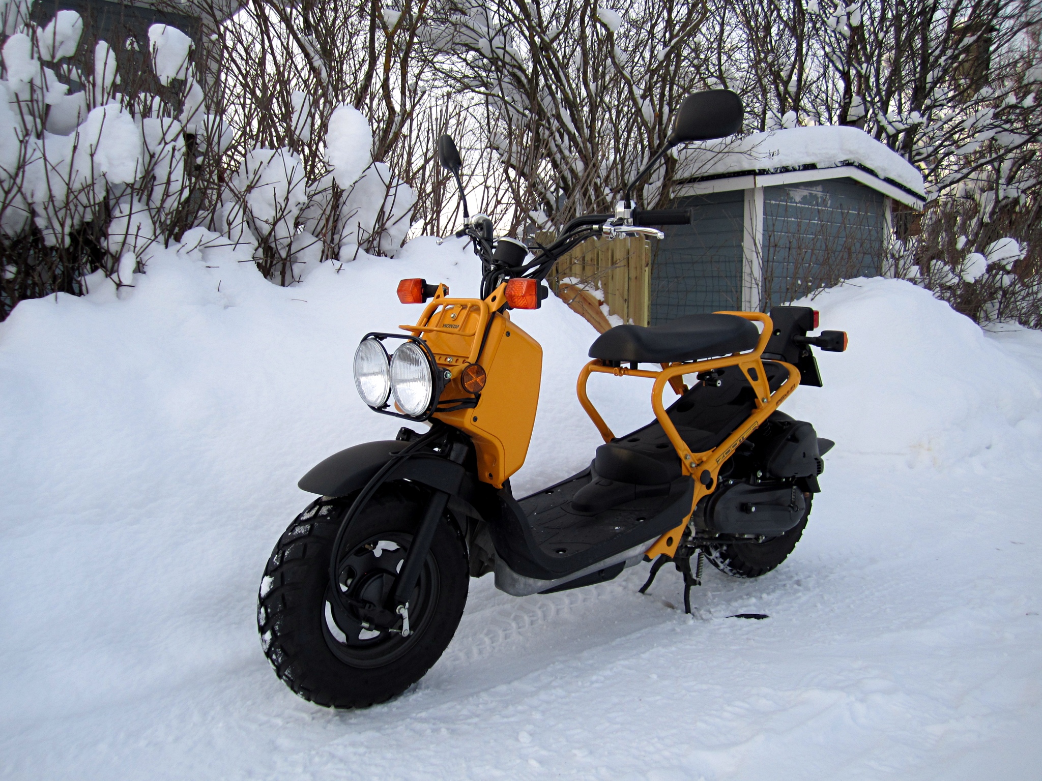 Honda Ruckus Cc Honda Ruckus Cc