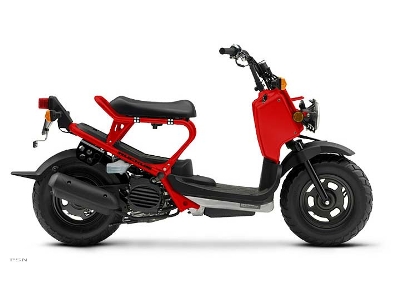 Honda Ruckus Cc