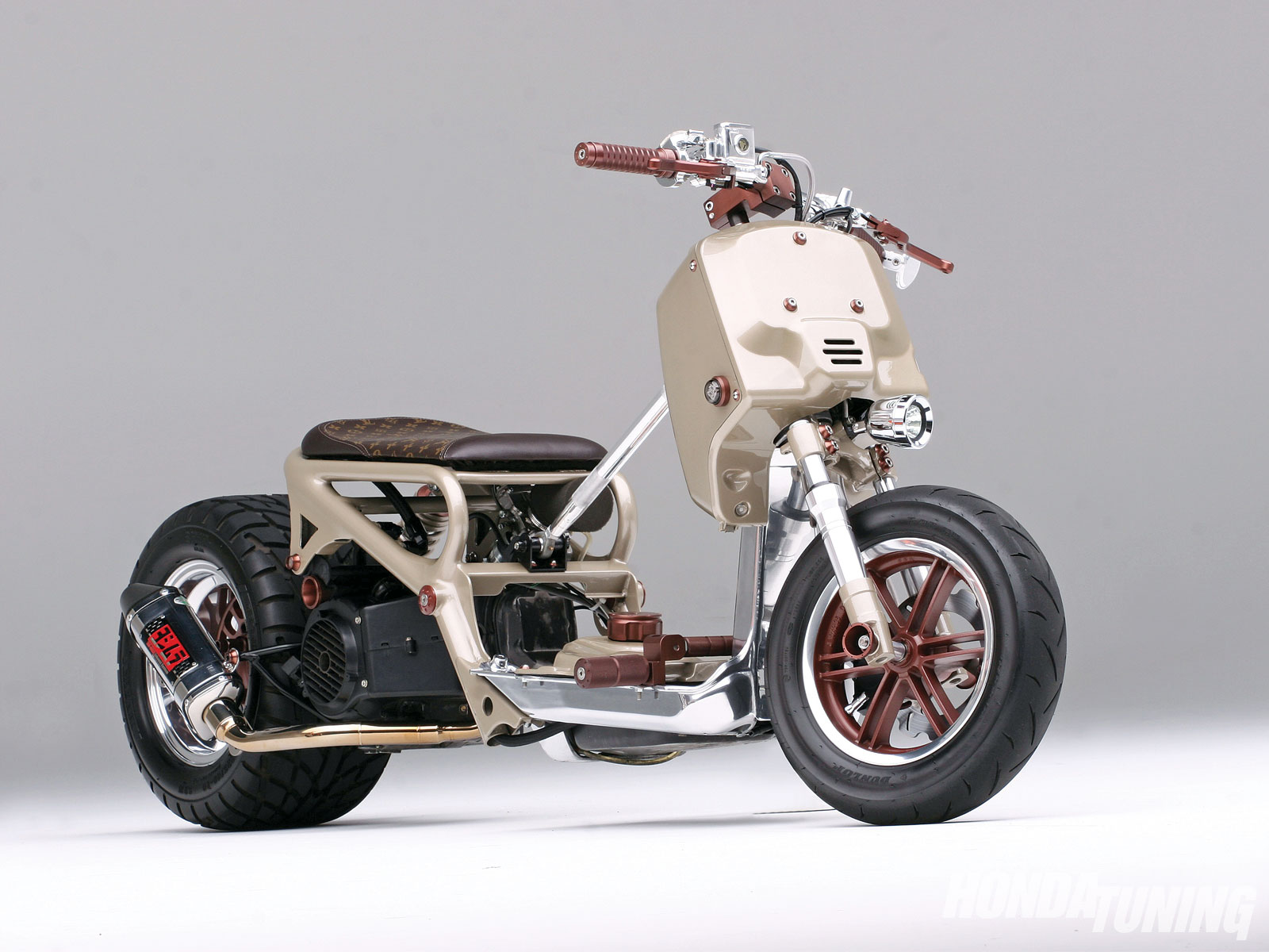 Honda Ruckus Custom