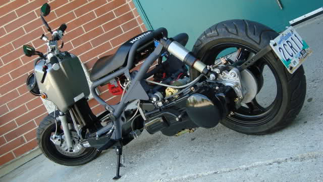 Honda Ruckus Gy6 Honda Ruckus Gy6