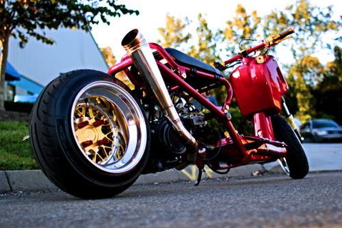 Honda Ruckus Jdm