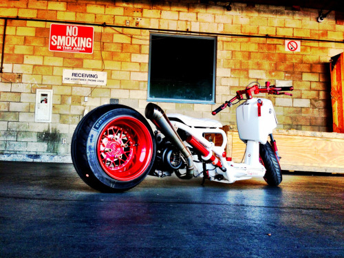 Honda Ruckus Jdm Honda Ruckus Jdm