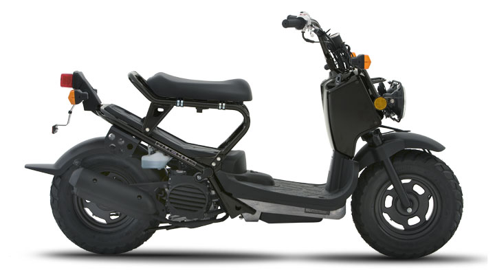 Honda Ruckus Manual