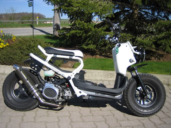 Honda Ruckus Manual