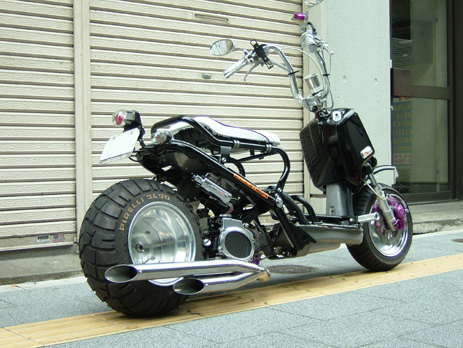 Honda Ruckus Manual