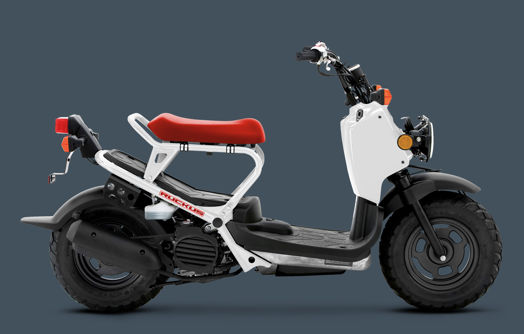 Honda Ruckus Moped