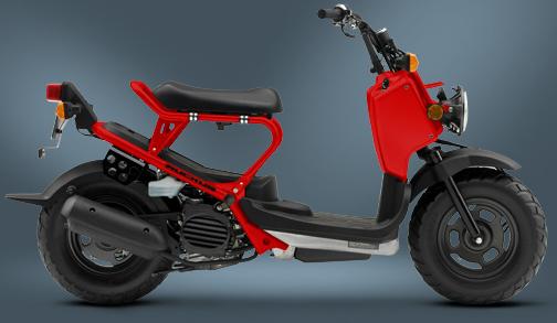 Honda Ruckus Moped