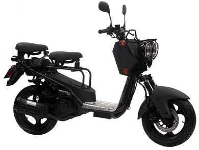 Honda Ruckus Replica