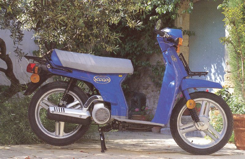 Honda Scoopy Sh 50