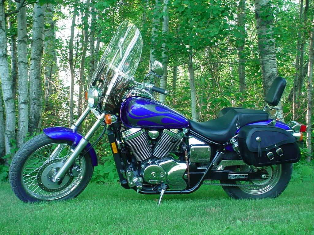 Honda Shadow Saddlebags