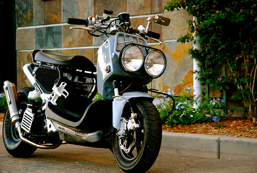 Honda Zoomer 125