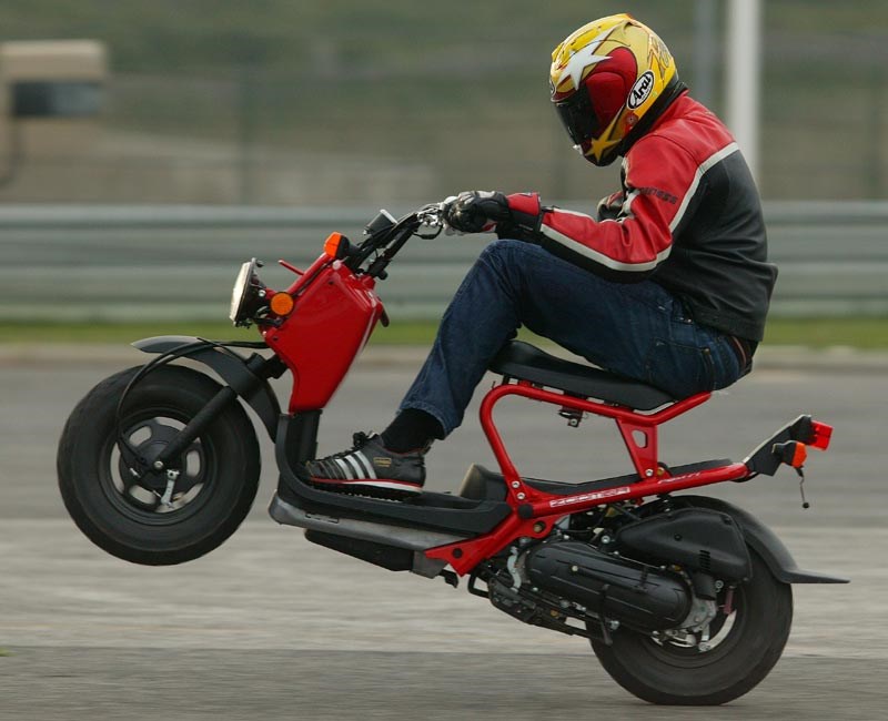 Honda Zoomer 50cc Scooter