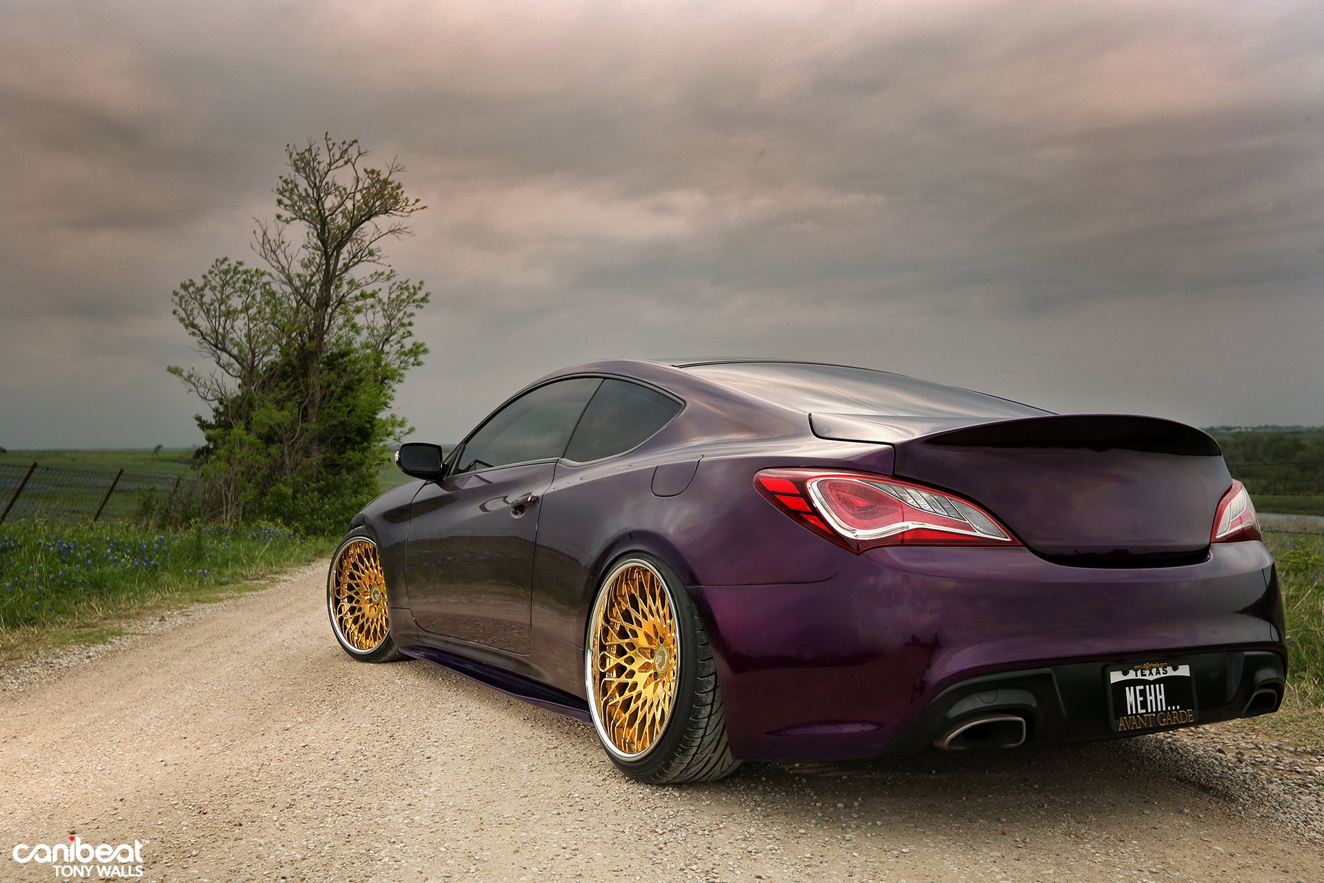 Hyundai Coupe Custom