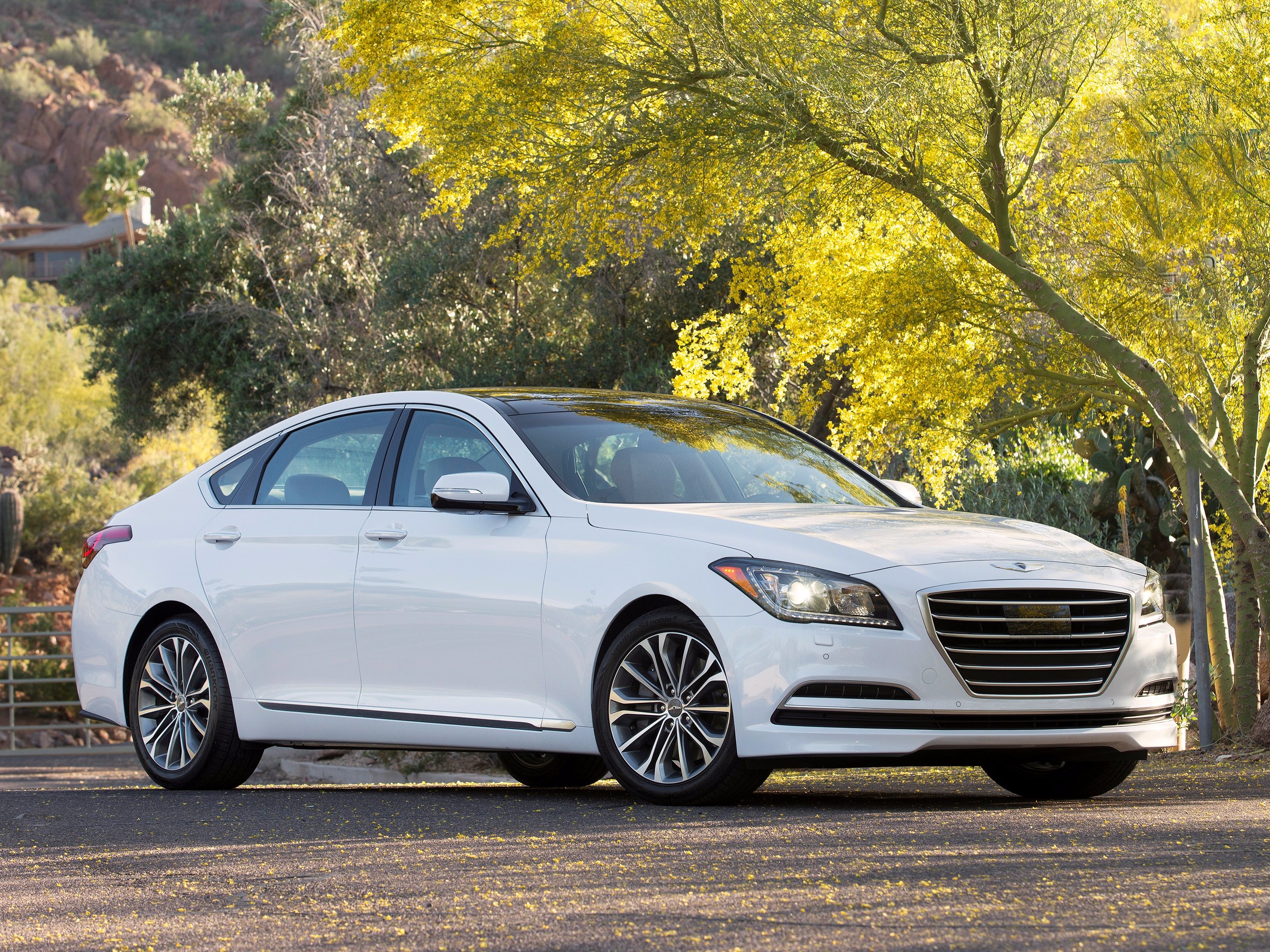 Hyundai Genesis Luxury
