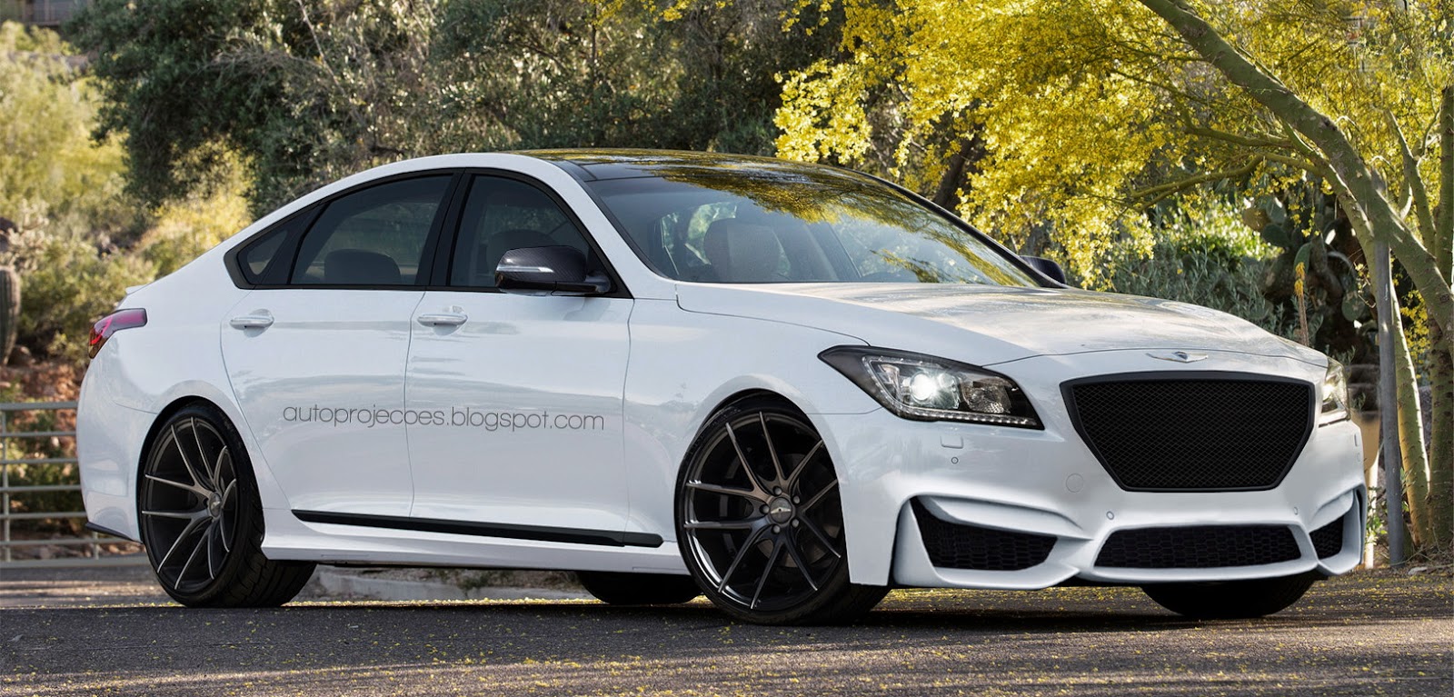 Hyundai Genesis White 2015