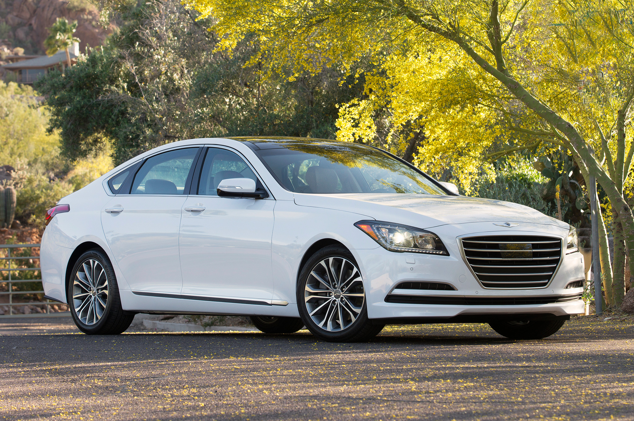 Hyundai Genesis White