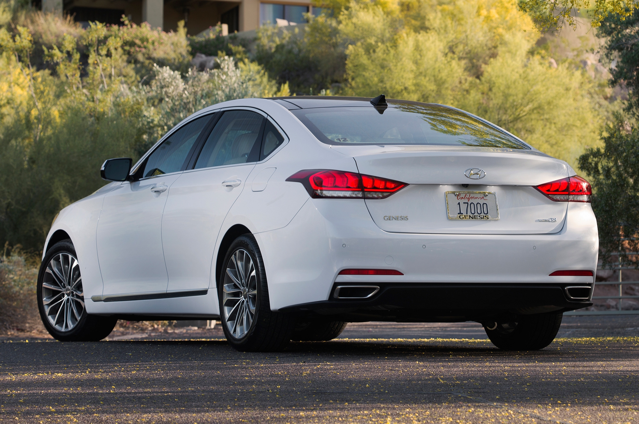 Hyundai Genesis White