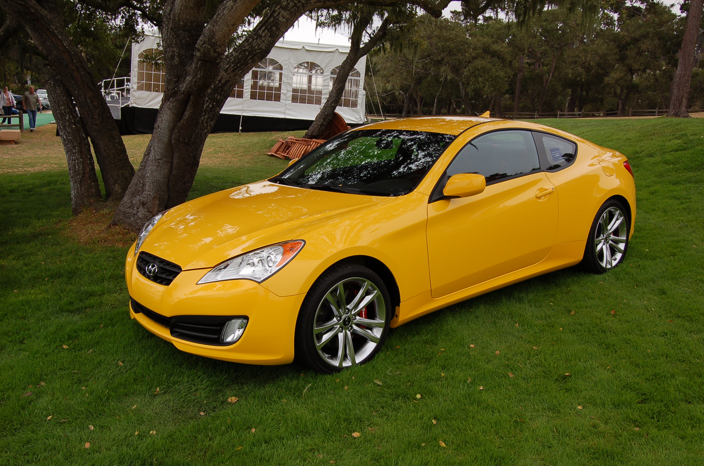 Hyundai Genesis Yellow