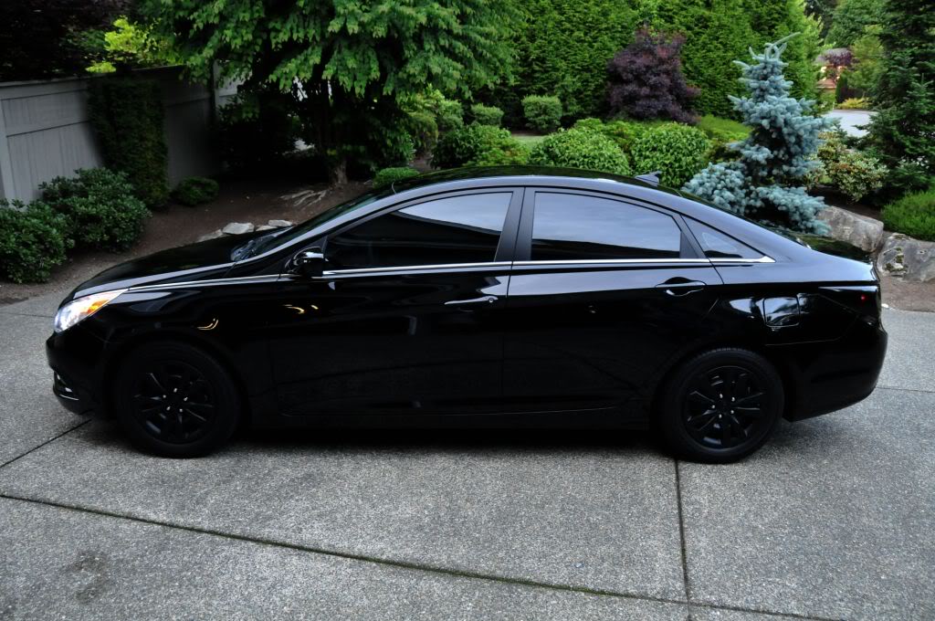 Hyundai Sonata Blacked Out