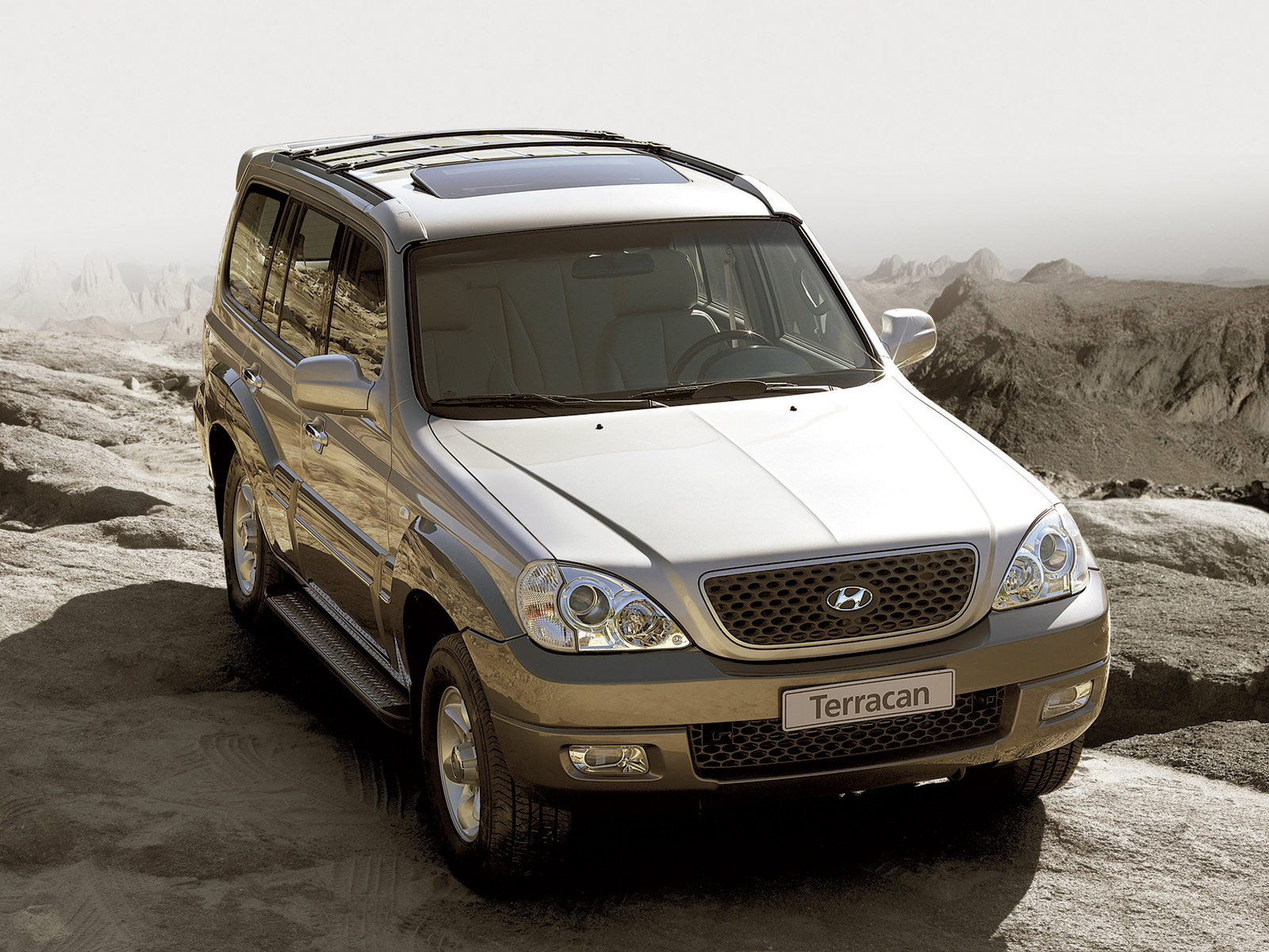 Hyundai Terracan 2010
