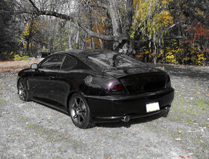 Hyundai Tiburon Blacked Out