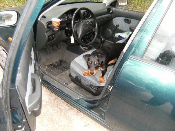 Hyundai Tucson 1995