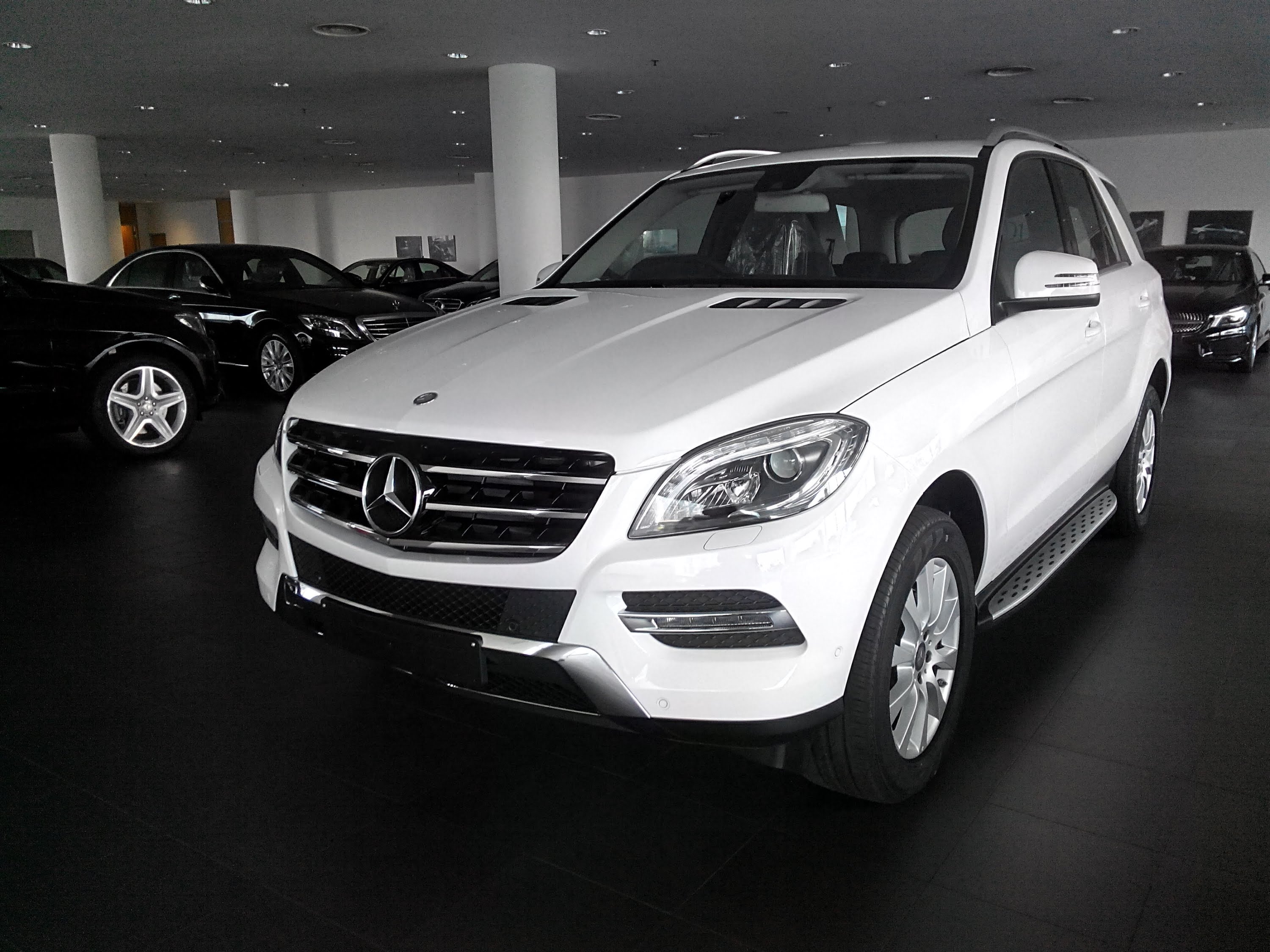 Mercedes Benz ML 250