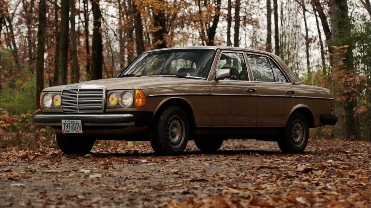 Mercedes Benz 300d