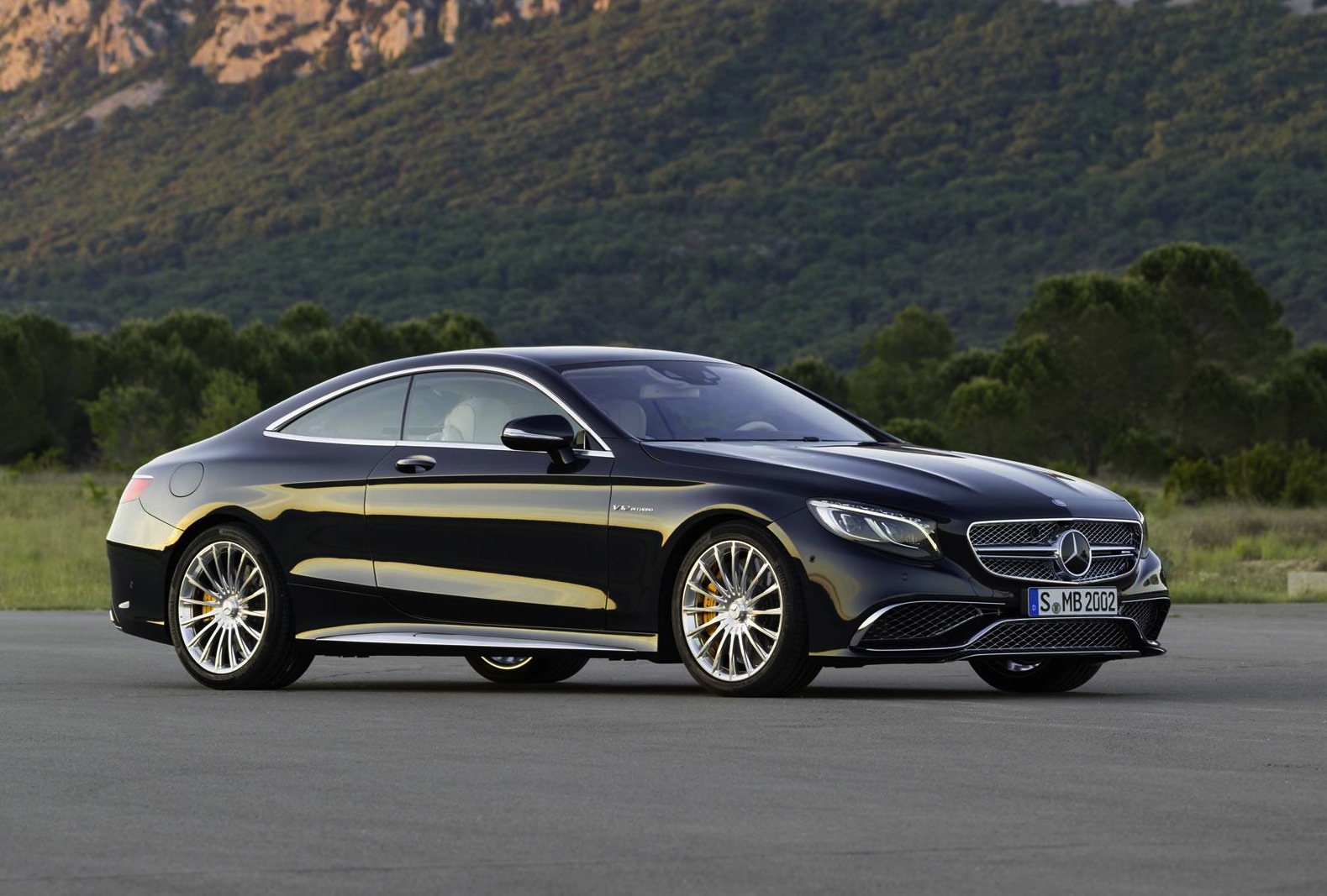 Mercedes Benz S Class 65 Amg