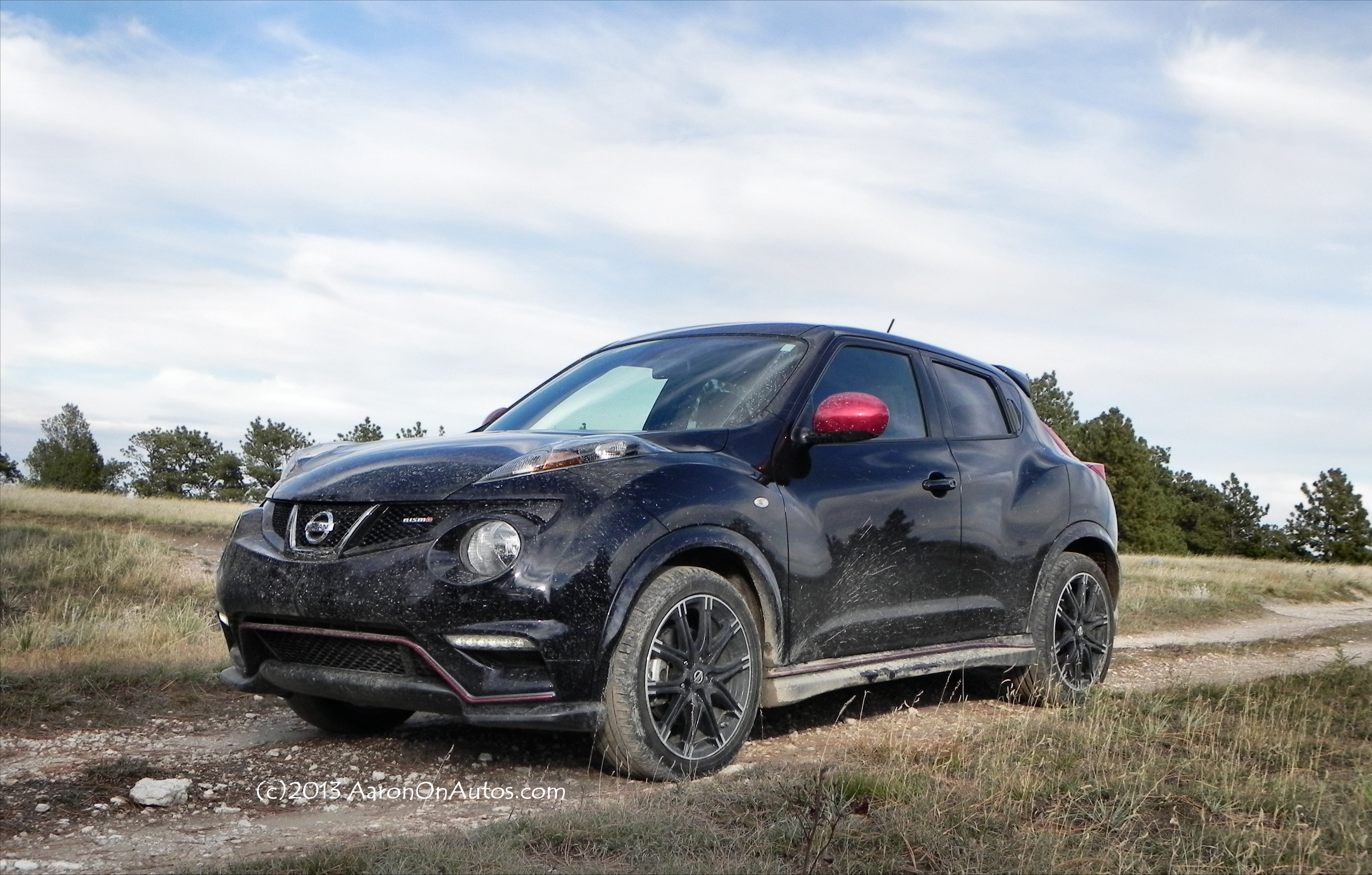 Nissan Juke Rally