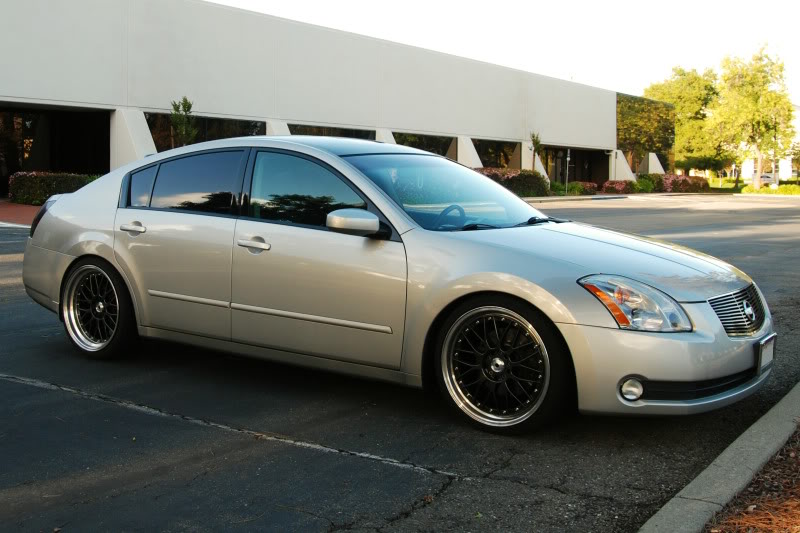 Nissan Maxima 6th Gen