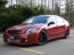 Nissan Maxima 6th Gen