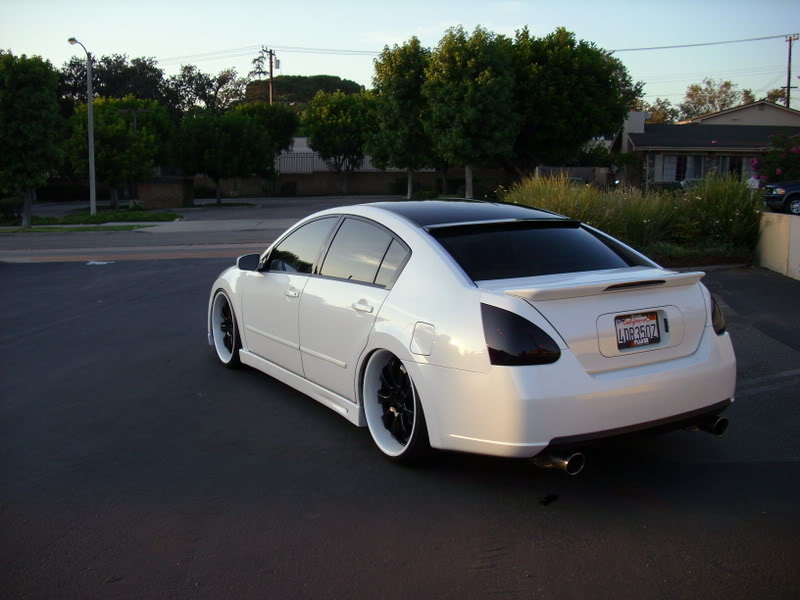 Nissan Maxima 6th Gen