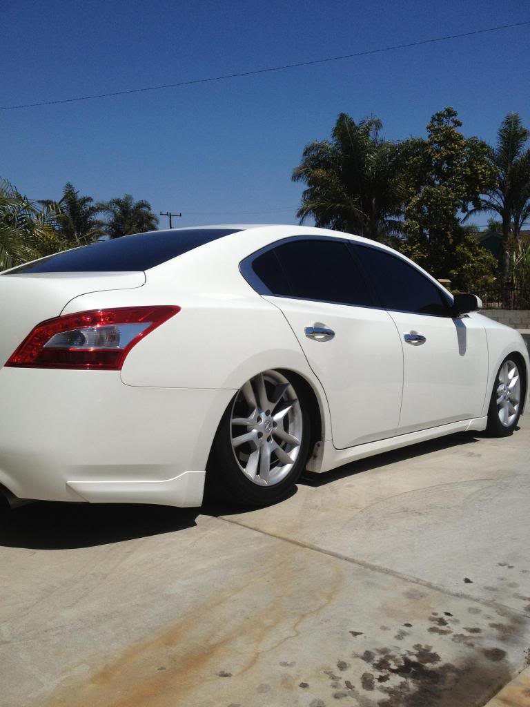 Nissan Maxima 7th Gen