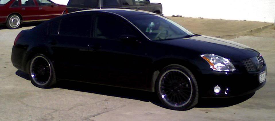 Nissan Maxima Blacked Out