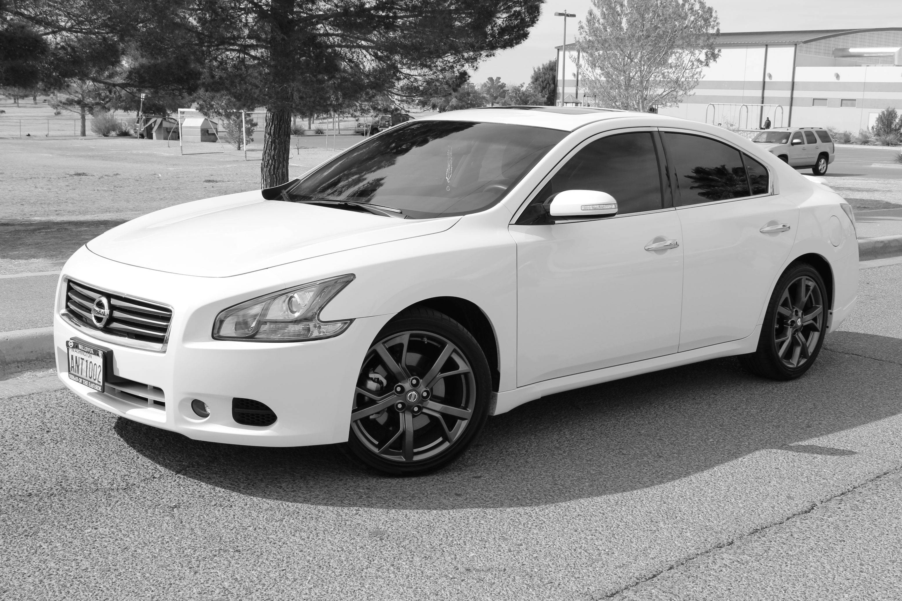 Nissan Maxima White