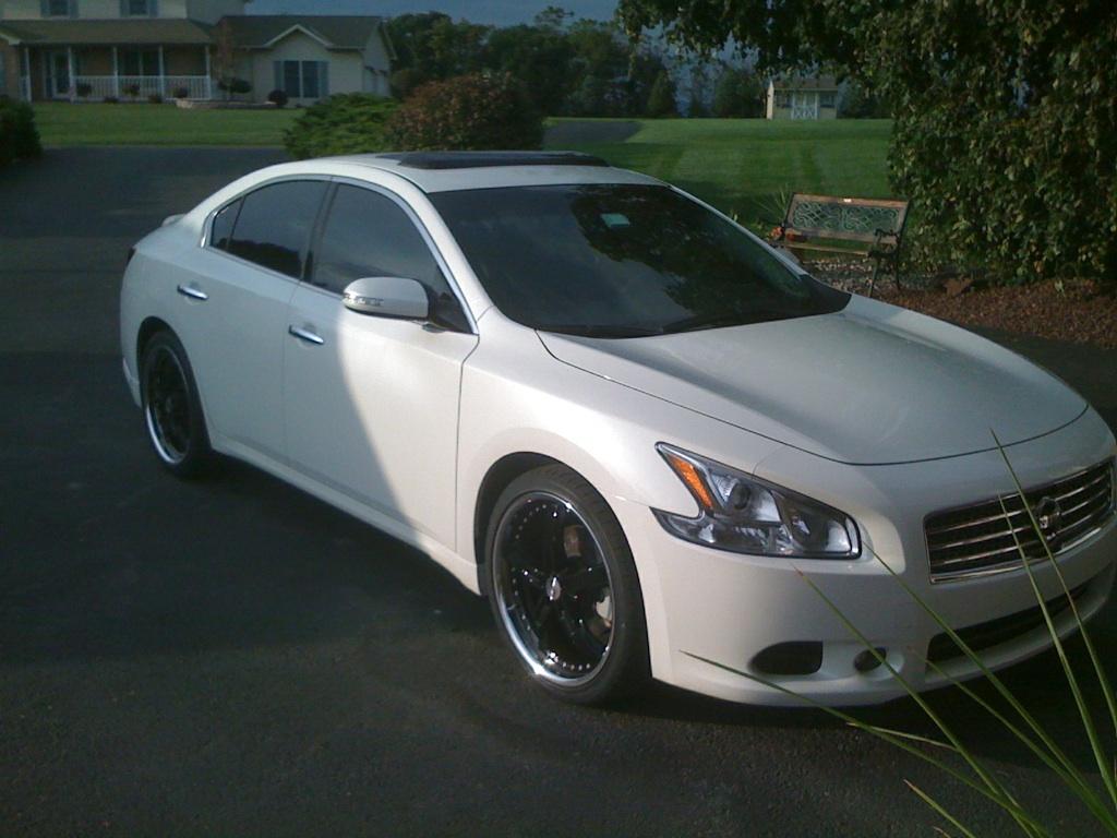 Nissan Maxima White